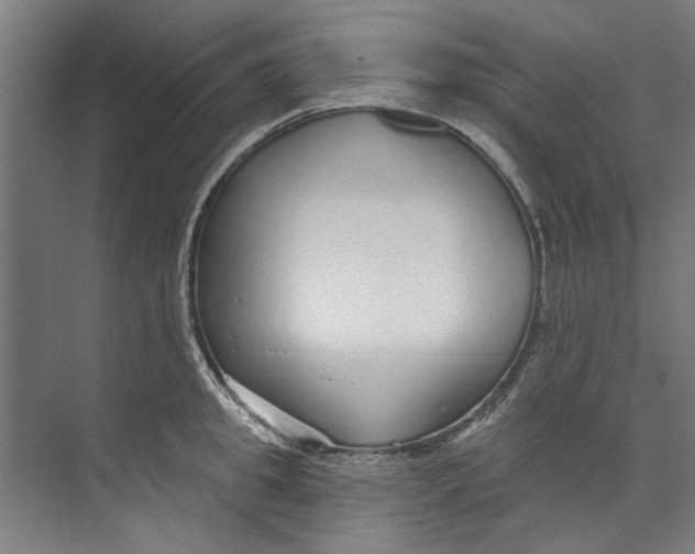 X0000073520949200608281730