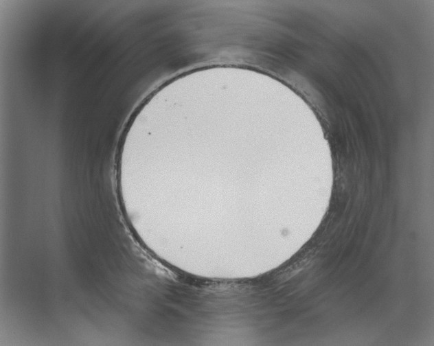 X0000073520950200608281730