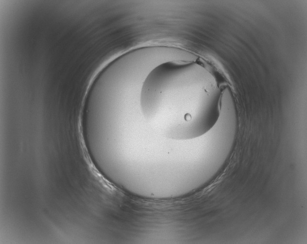 X0000073520952200608281730