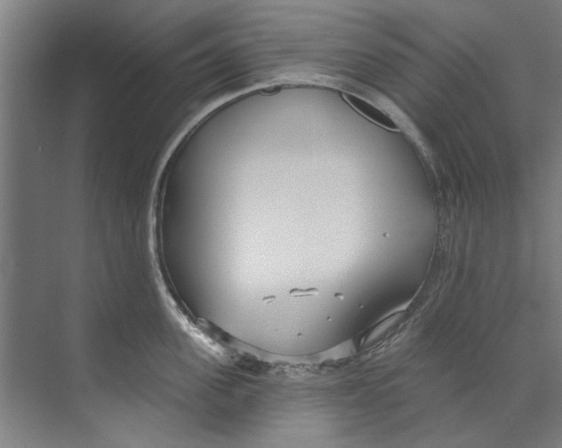 X0000073520955200608281730