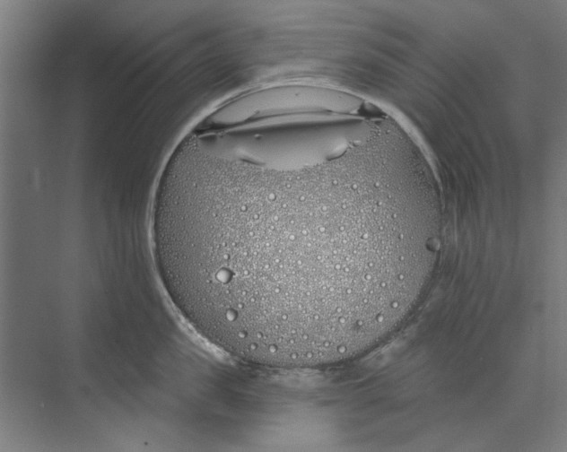 X0000073520957200608281730