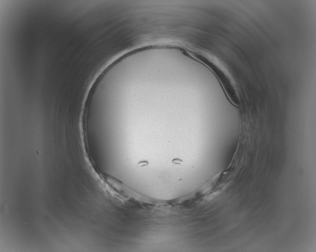 X0000073520959200608281730