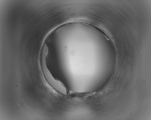 X0000073520960200608281730