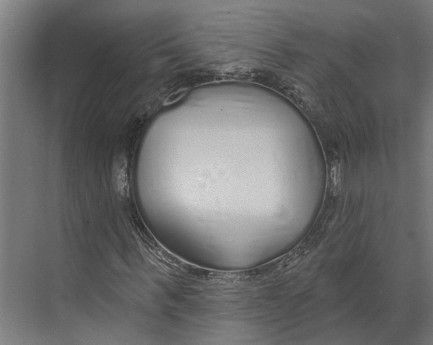 X0000073520963200608281729