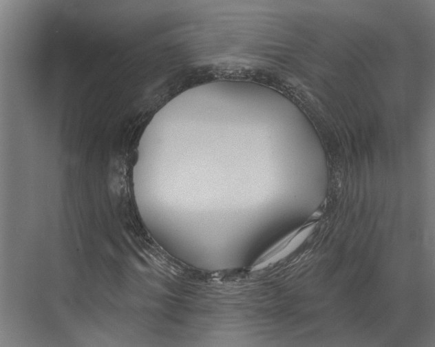 X0000073520964200608281729