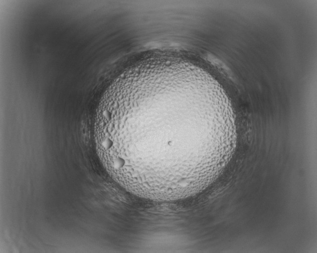 X0000073520966200608281729