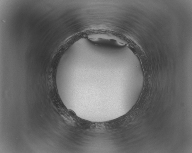 X0000073520968200608281729