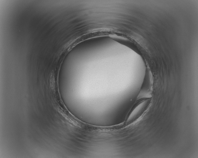 X0000073520969200608281729