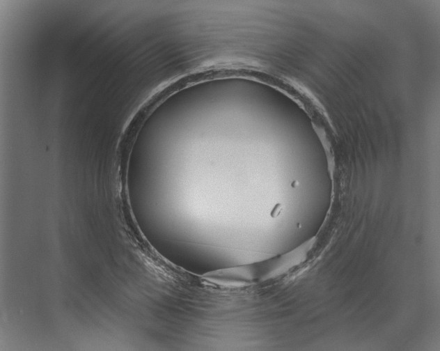 X0000073520973200608281729