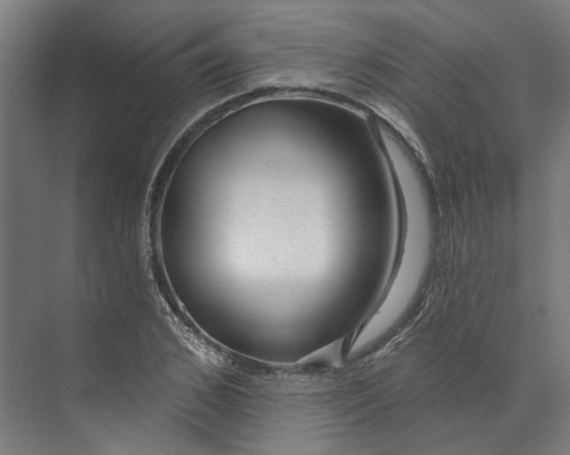 X0000073520976200608281729