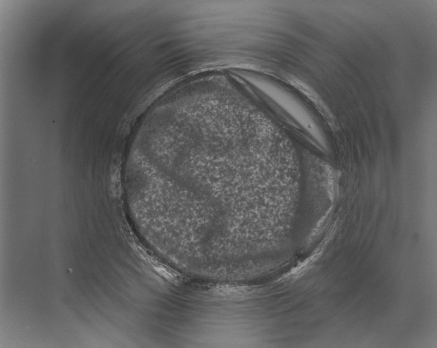 X0000073520977200608281729