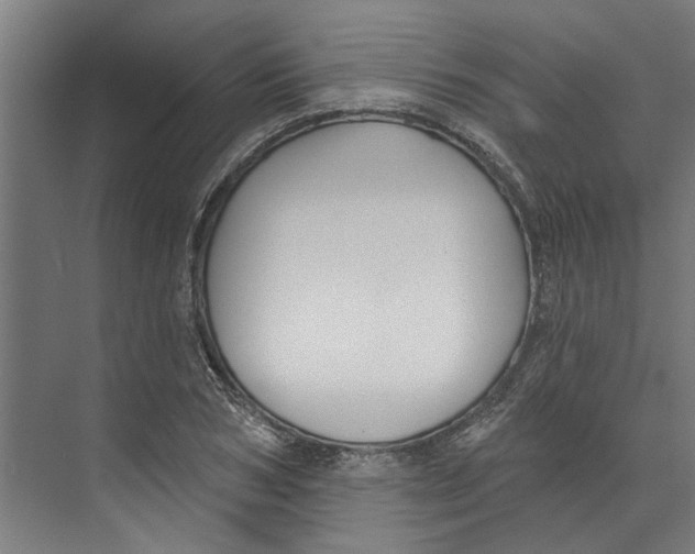 X0000073520978200608281729