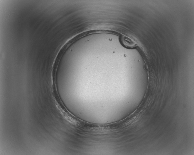 X0000073520980200608281729