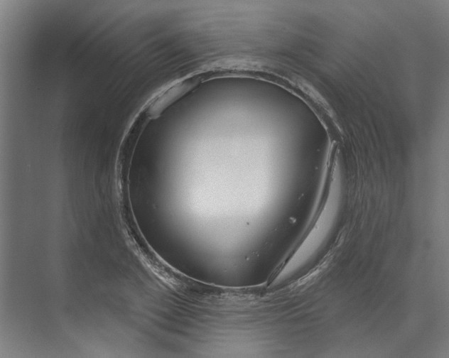 X0000073520981200608281729