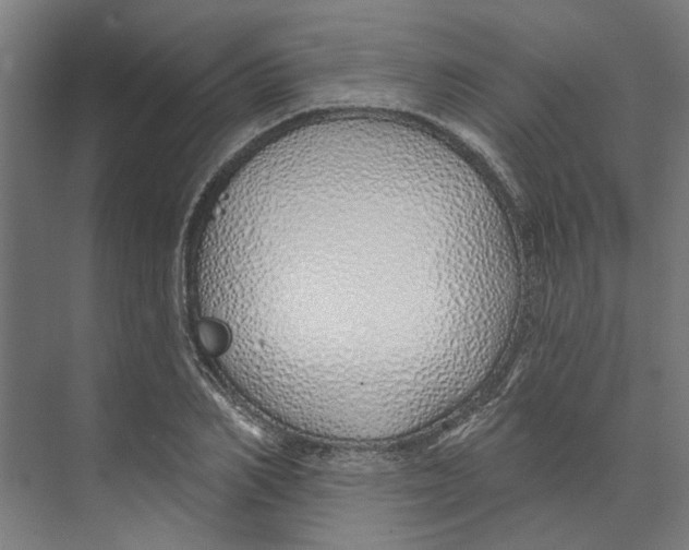 X0000073520982200608281729