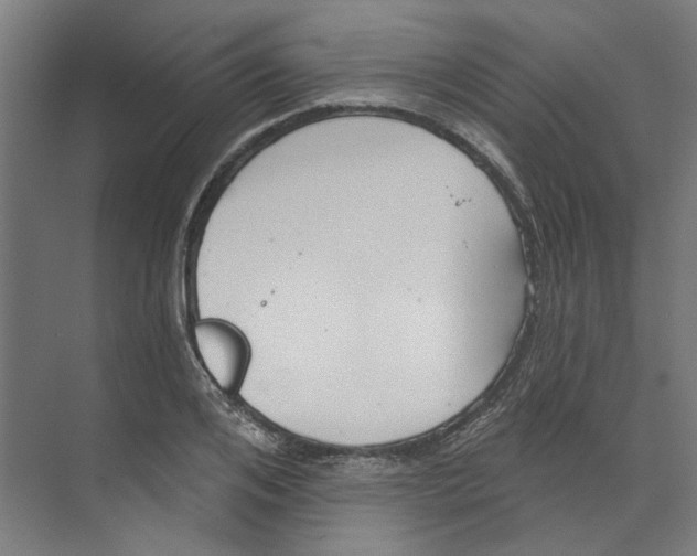 X0000073520984200608281728