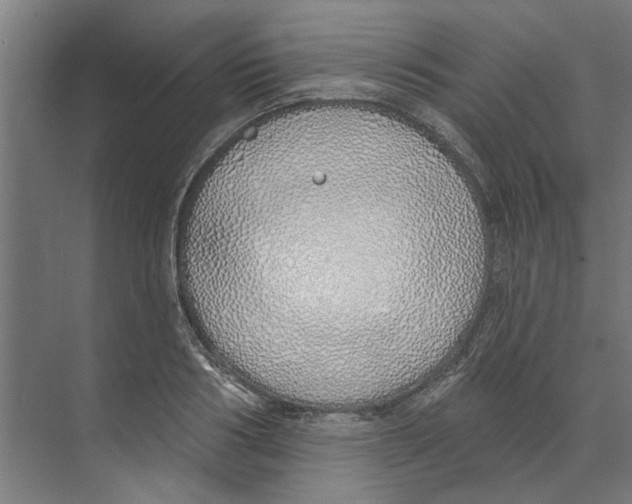 X0000073520986200608281728