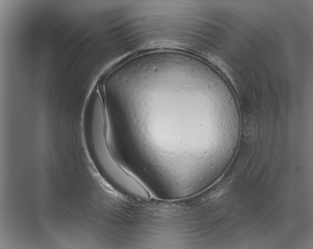 X0000073520987200608281728