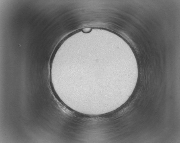 X0000073520988200608281728