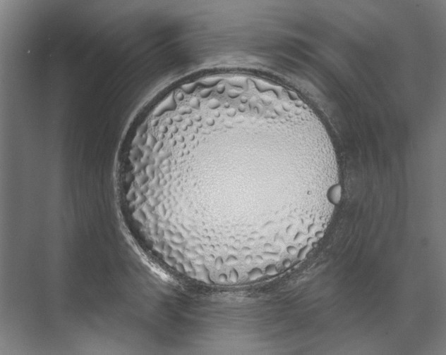 X0000073520990200608281728