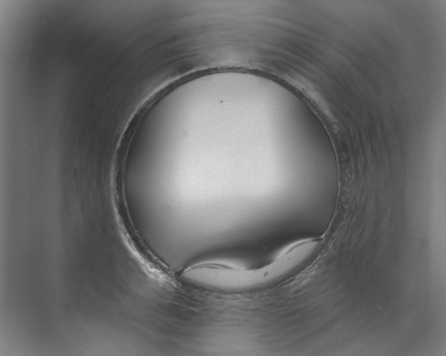 X0000073520991200608281728