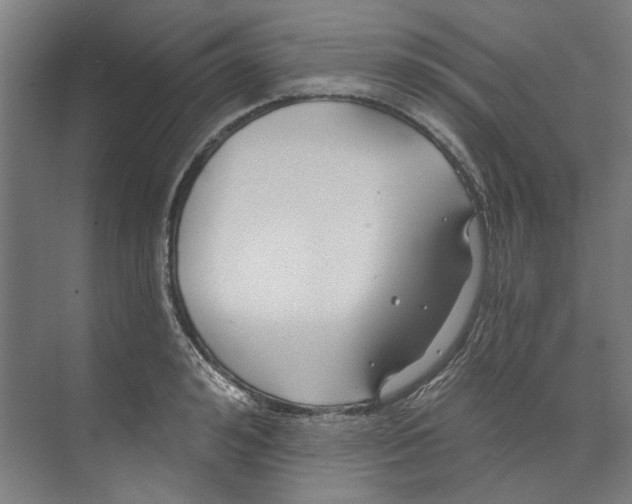 X0000073520992200608281728