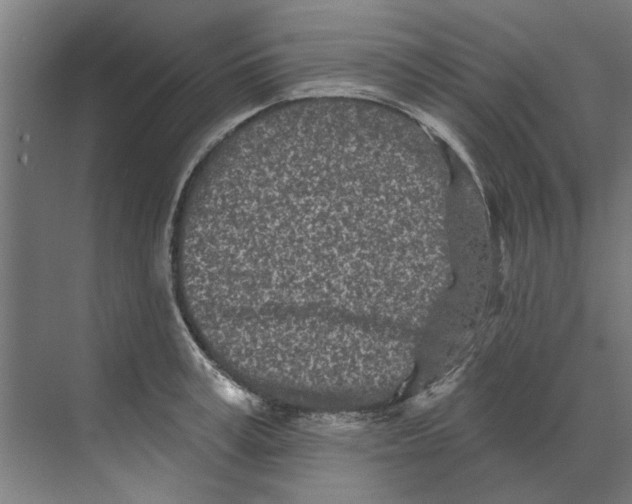 X0000073520995200608281728