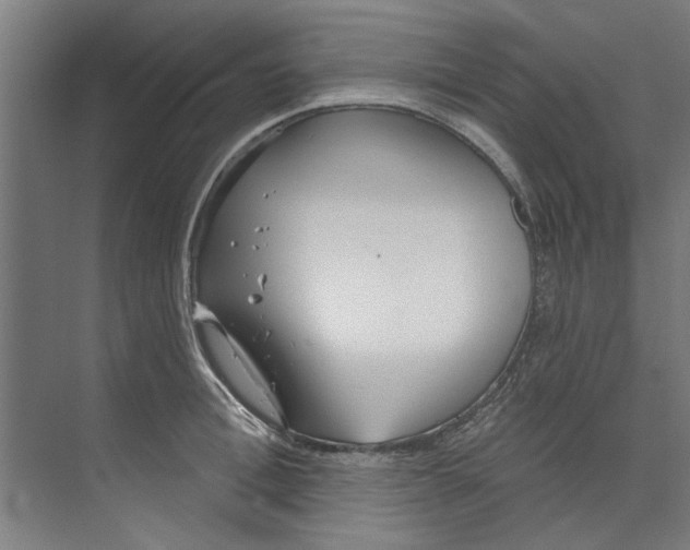 X0000073520996200608281728