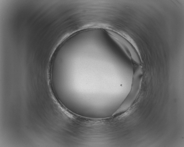 X0000073520997200608281728