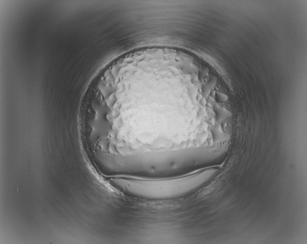 X0000073520998200608281728