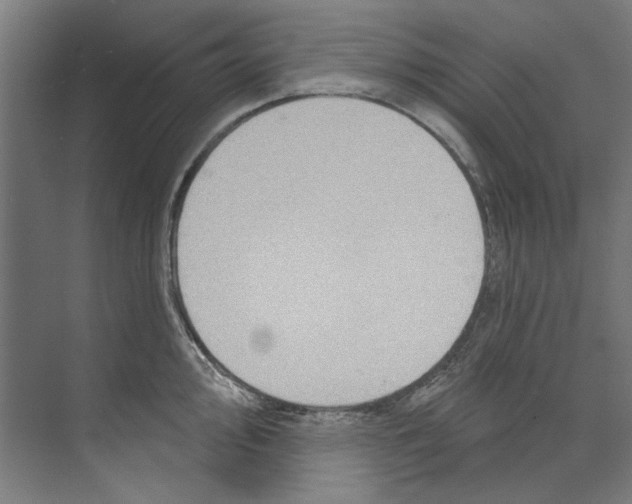 X0000073521000200608281728