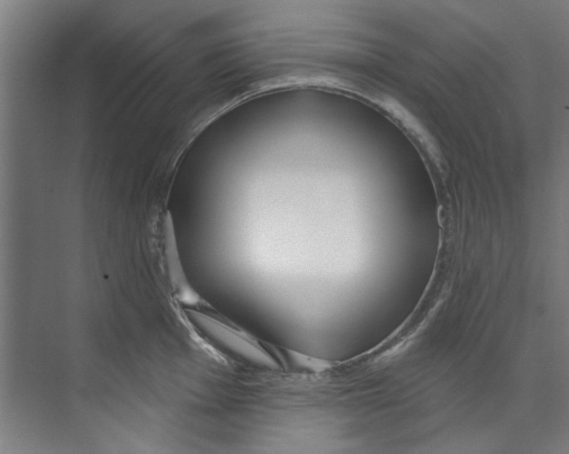 X0000073521001200608281728