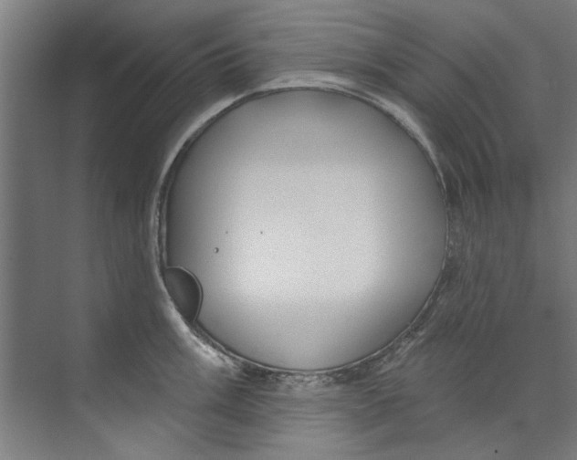 X0000073521003200608281728