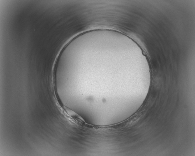 X0000073521004200608281728