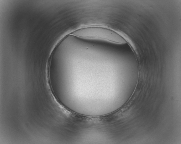 X0000073521006200608281728