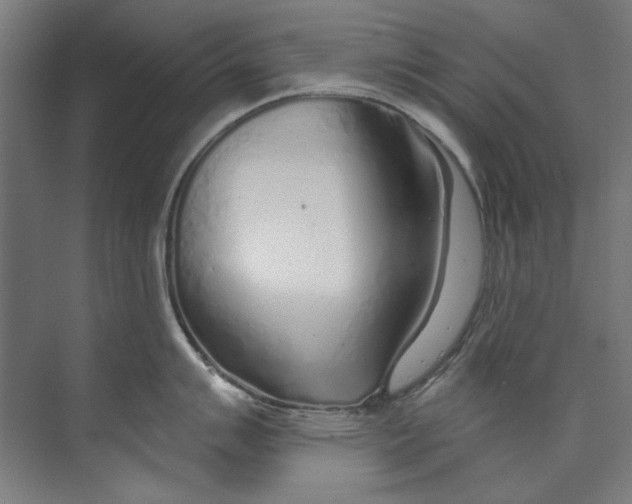 X0000073521007200608281728