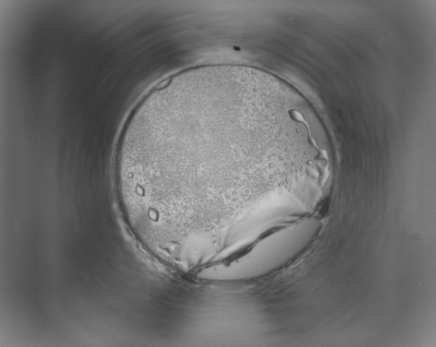 X0000073521008200608281728