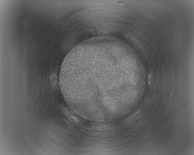 X0000073521011200608281727