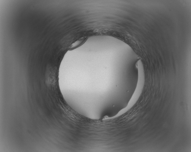 X0000073521012200608281727