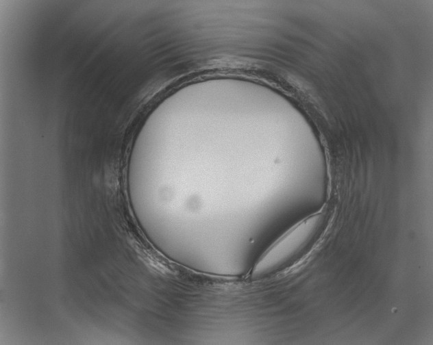 X0000073521017200608281727