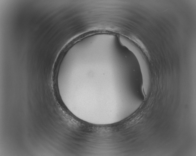 X0000073521020200608281727