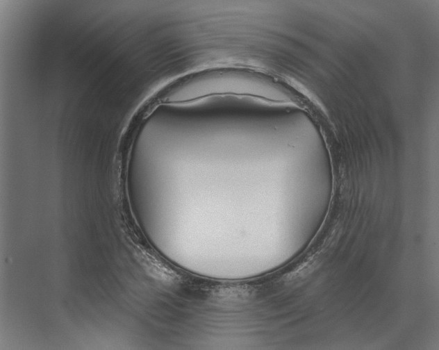 X0000073521021200608281727