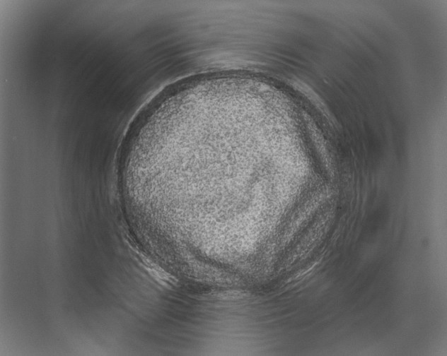 X0000073521023200608281728