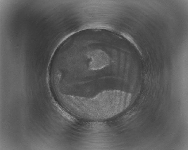 X0000073521024200608281728