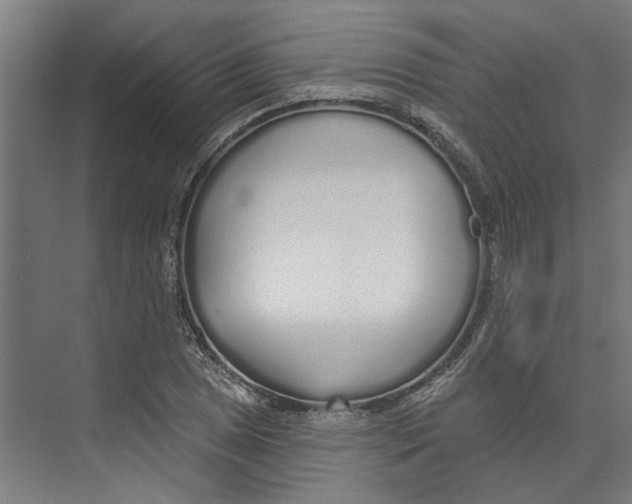 X0000073521025200608281728