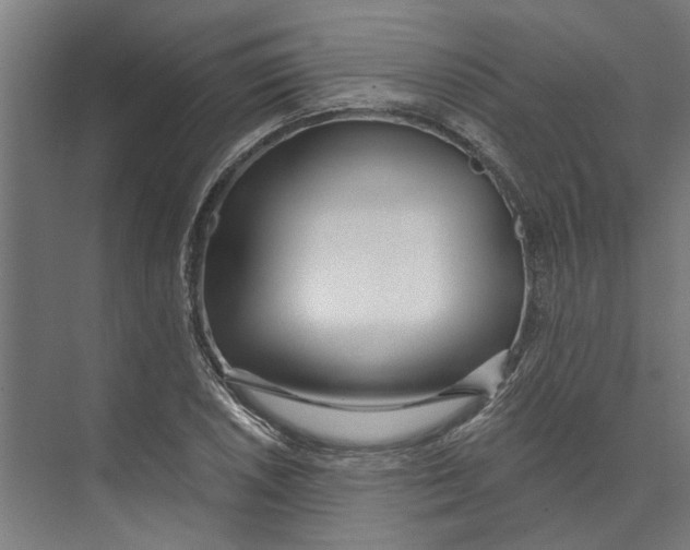 X0000073521026200608281728