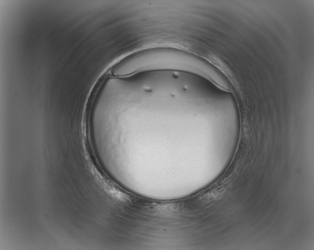 X0000073521028200608281728