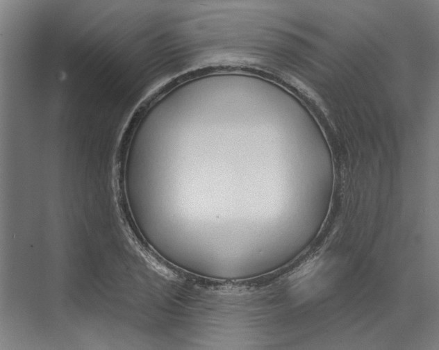 X0000073521029200608281728