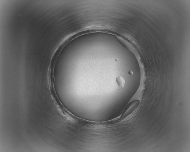 X0000073521030200608281728