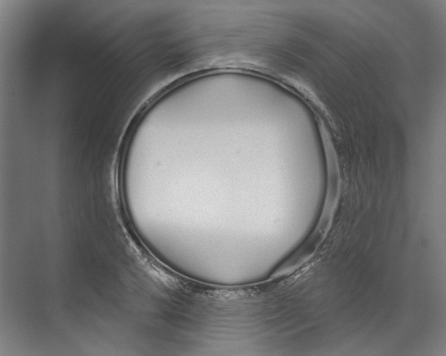 X0000073521032200608281728